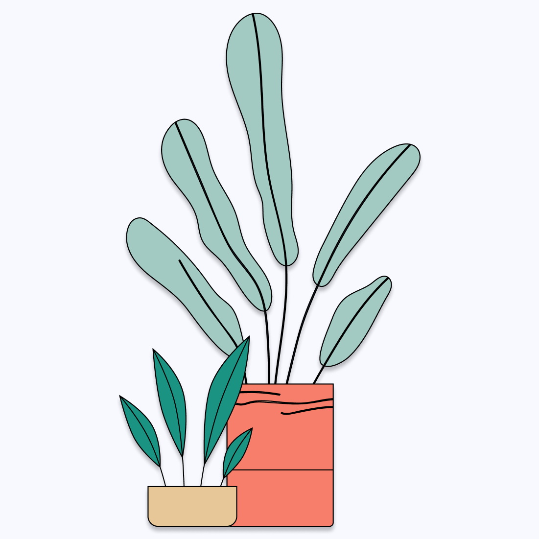 two plants thriving